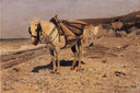 Horse for the stones collecting in the Vela by Ilya Repin — hand-painted animal oil painting reproduction on canvas