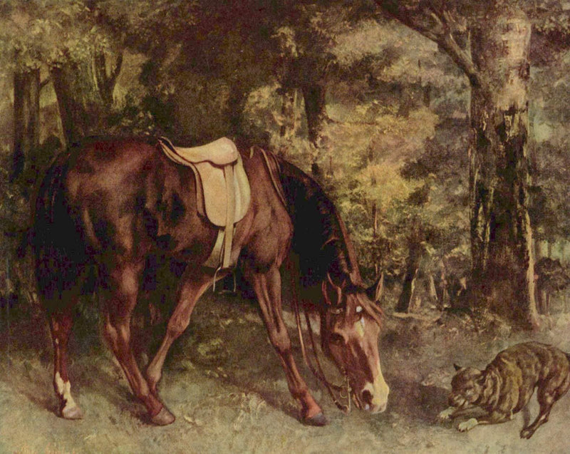 Horse in the Woods on gallery wrap