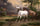 Horses Frightened by the Storm in apartment
