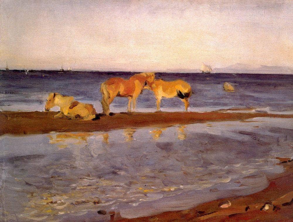 Horses on a Shore