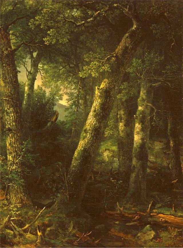 Forest in the Morning Light - Asher Brown Durand