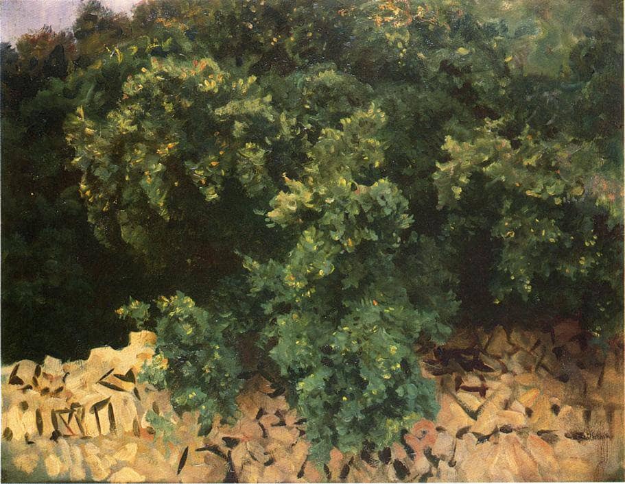 Ilex Wood, Majorca by John Singer Sargent — hand-painted botanical oil painting reproduction on canvas