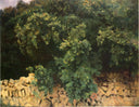 Ilex Wood, Majorca by John Singer Sargent — rural oil painting wall art, Realism