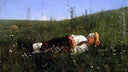 In celebration by Nikolai Kuznetsov — flower oil painting wall art, Realism