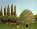 In the Fields by Henri Rousseau — hand-painted botanical oil painting reproduction on canvas