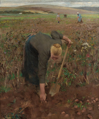 In the fields in Dannes, Pas de Calais (Gathering potatoes)