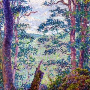 In the Forest
