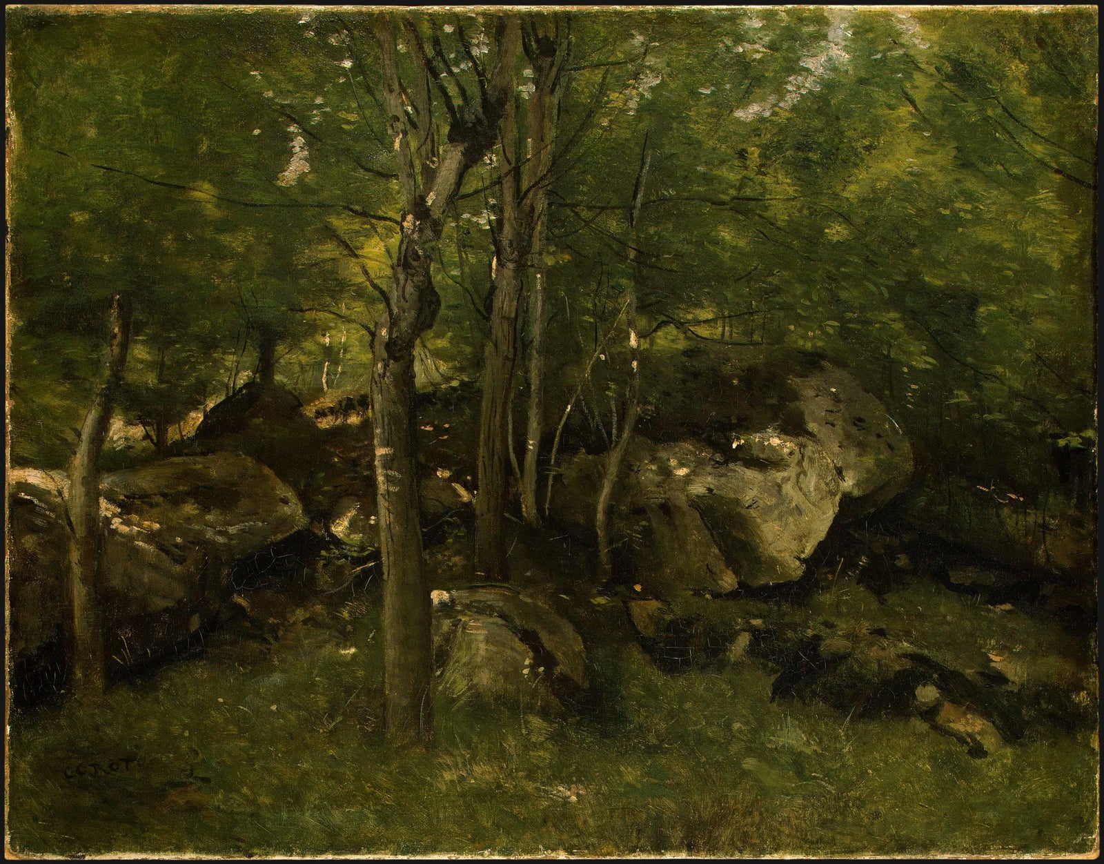 In the Forest of Fontainebleau