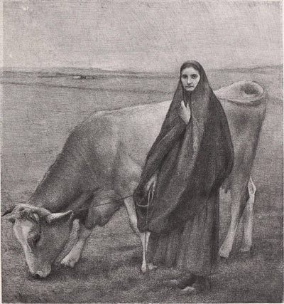 In the meadow in modern living room