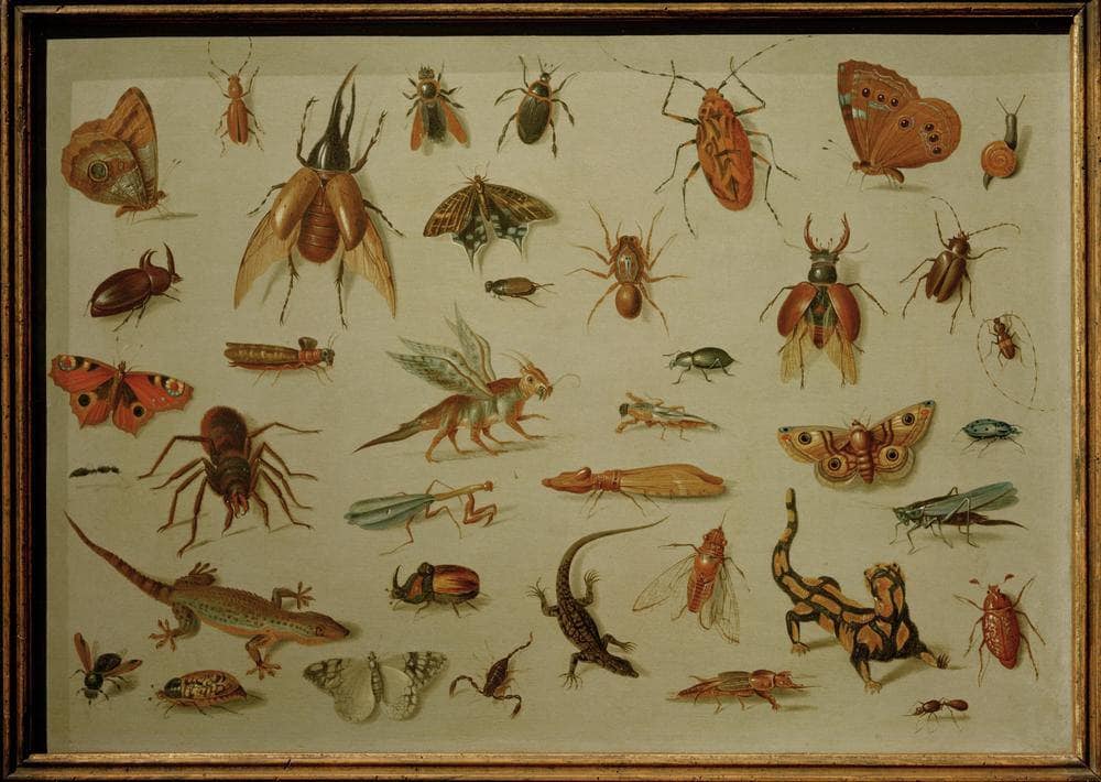 Insects and Reptiles by Jan van Kessel the Elder — hand-painted animal oil painting reproduction on canvas