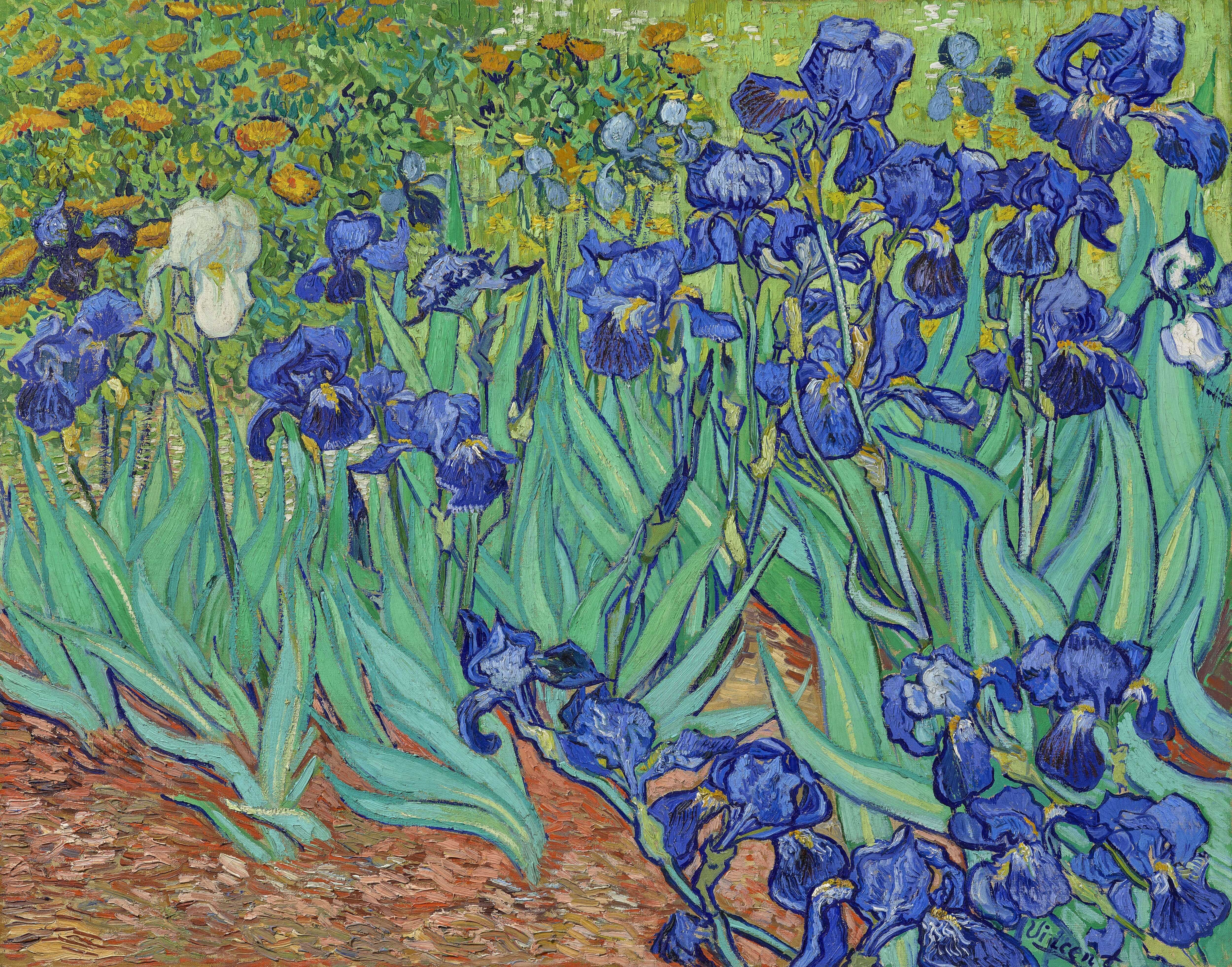 Irises - Vincent van Gogh