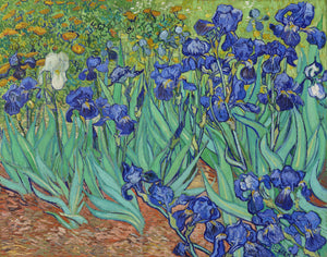 Irises - Vincent van Gogh