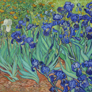 Irises by Vincent van Gogh — Oil Painting Reproduction