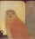 Kestrel in hallway