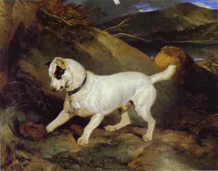 Jocko with a Hedgehog by Edwin Henry Landseer — hand-painted animal oil painting reproduction on canvas