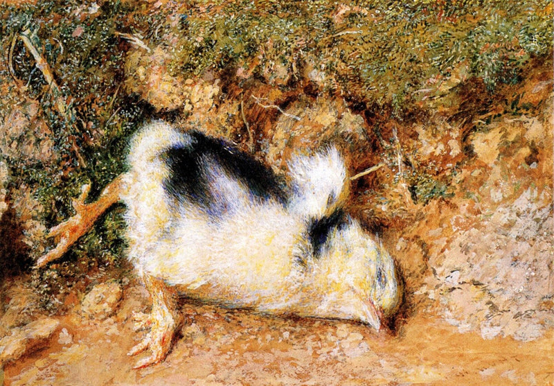 John Ruskin's dead chick on gallery wrap