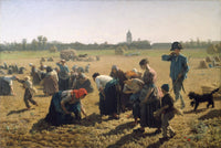 The Gleaners