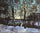 Winter Sunset in study