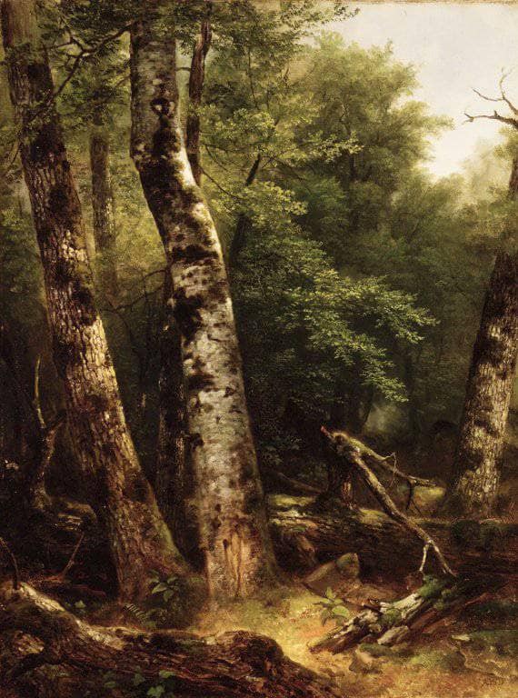 Landscape (birch and Oaks) by Asher Brown Durand — hand-painted botanical oil painting reproduction on canvas