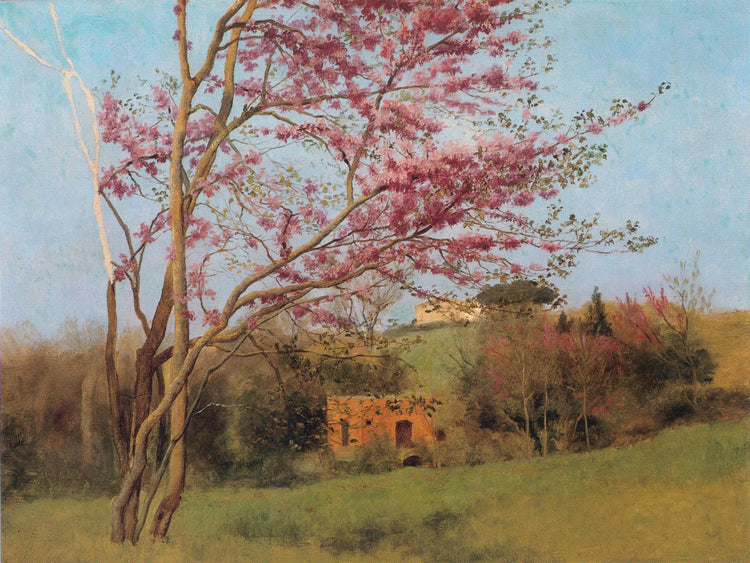 Landscape: Blossoming Red Almond (study) - John William Godward