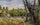 Landscape, Bright Sunlight, Pontoise in apartment