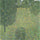 Landscape Garden (Meadow in Flower) in apartment
