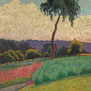 Landscape In Provence