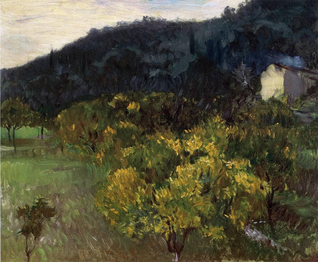 Landscape near Grasse by John Singer Sargent — hand-painted botanical oil painting reproduction on canvas