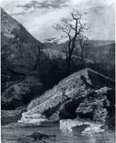 Landscape on mount Cucco by Michele Cammarano — hand-painted botanical oil painting reproduction on canvas