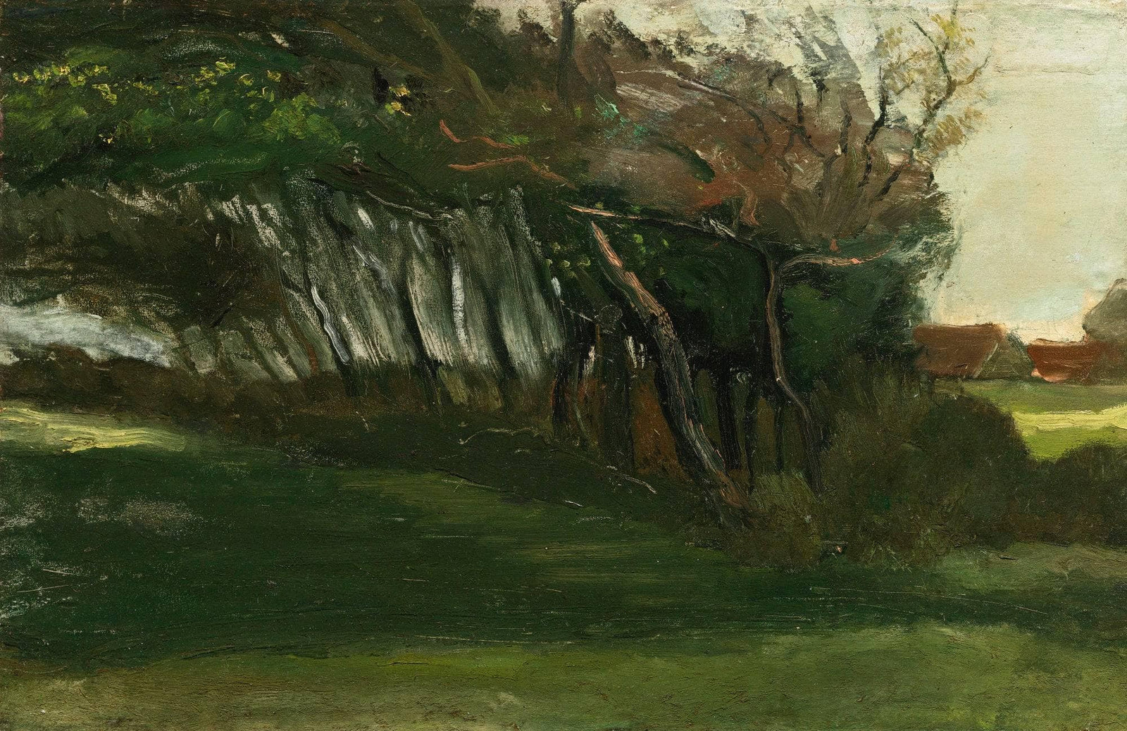 Landscape with windswept trees