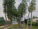 Lane of Poplars on the Banks of the Loing by Alfred Sisley — hand-painted botanical oil painting reproduction on canvas
