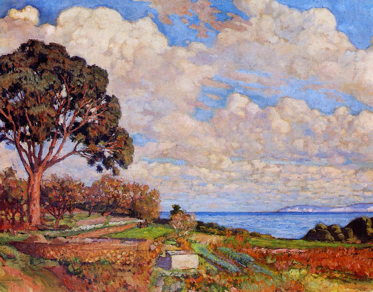 Large Tree near the Sea - Theo van Rysselberghe