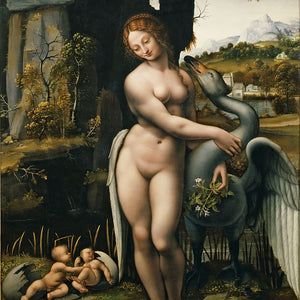 Leda