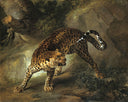Leopard by Jean-Baptiste Oudry — hand-painted animal oil painting reproduction on canvas