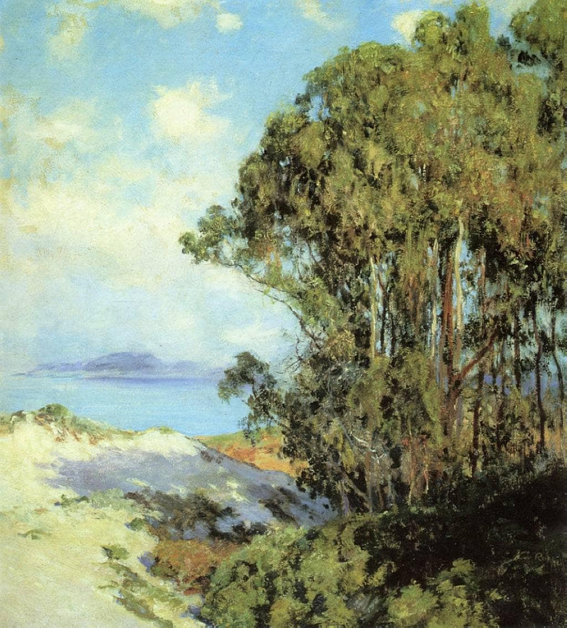 Lifting Fog, Carmel on gallery wrap