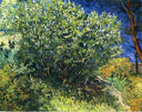 Lilac Bush by Vincent van Gogh — hand-painted botanical oil painting reproduction on canvas