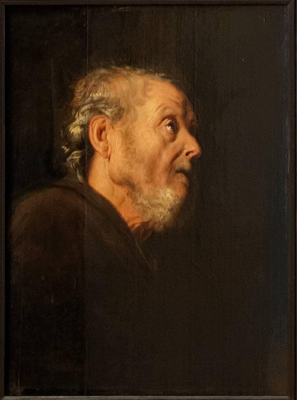 Old man's head
