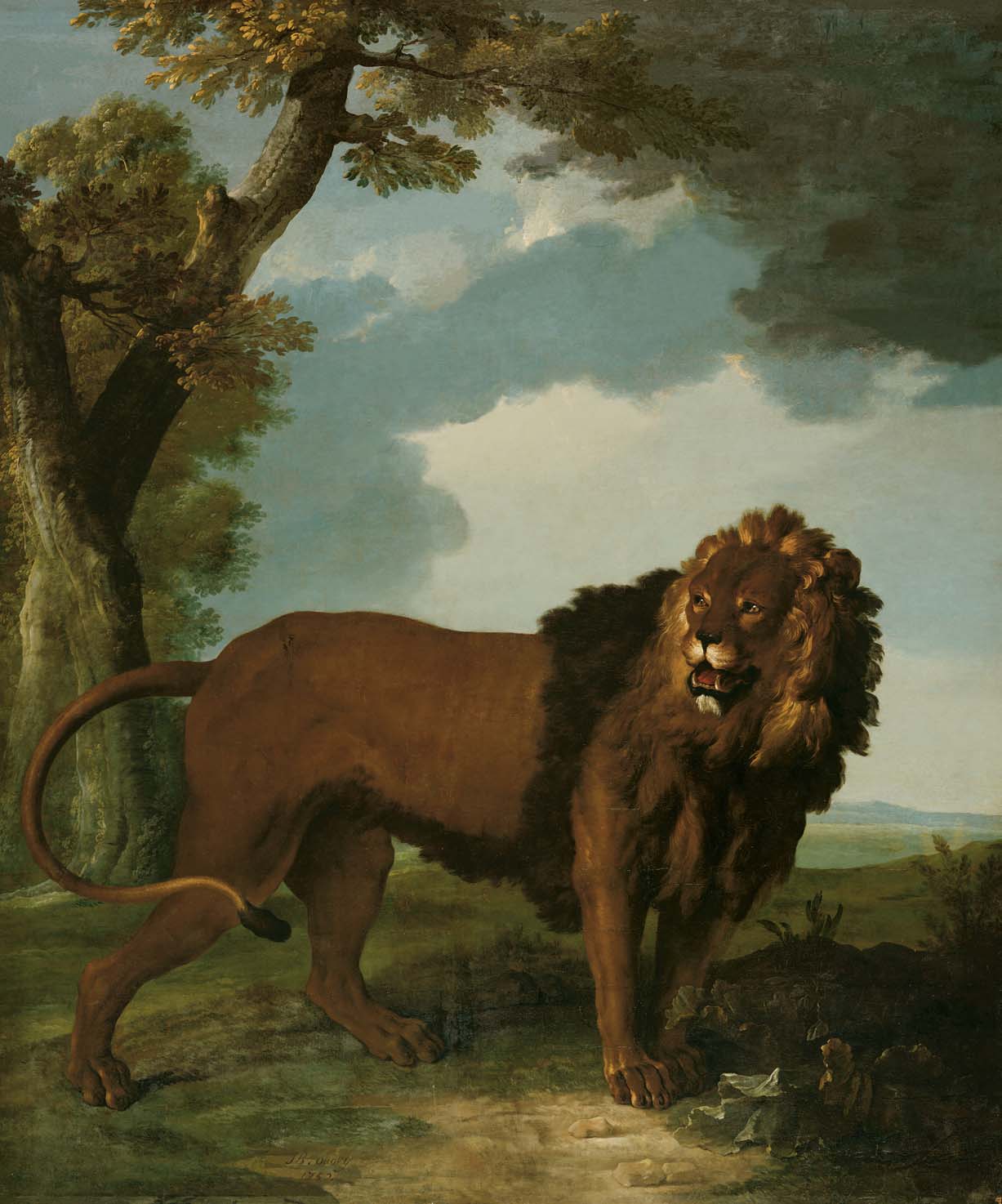 Lion - Jean-Baptiste Oudry