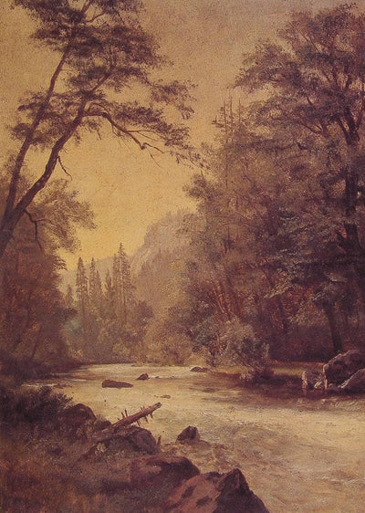 Lower Yosemite Valley in study