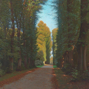 Landscape with an avenue