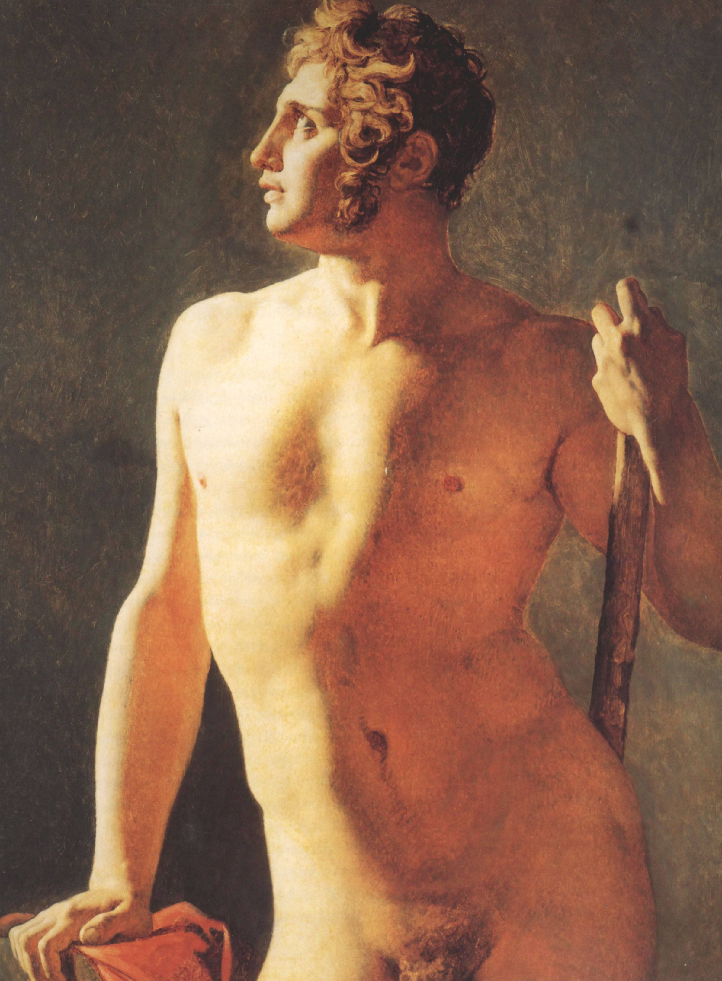 Male Torso - Jean Auguste Dominique Ingres