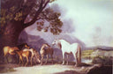 Mares and Foals in a Mountainous Landscape by George Stubbs — hand-painted animal oil painting reproduction on canvas
