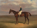 Margrave' with James Robinson Up by John Frederick Herring Sr. — hand-painted animal oil painting reproduction on canvas