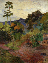 Martinique Landscape
