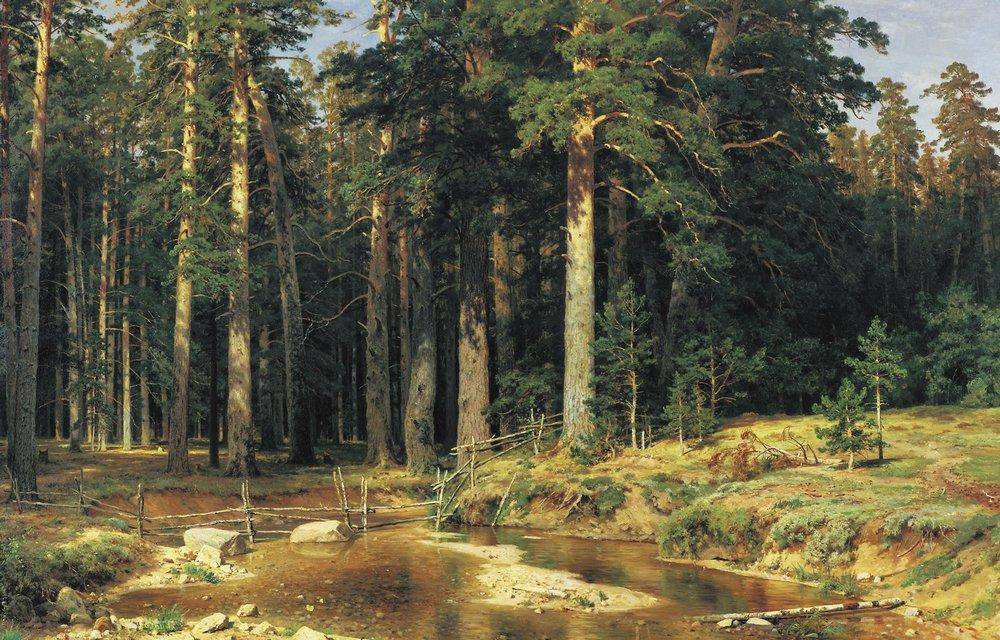 Mast Tree Grove - Ivan Shishkin