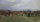 Meet of the Quorn Hounds at Kirby Gate in study