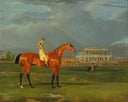 Memnon, with William Scott Up by John Frederick Herring Sr. — hand-painted animal oil painting reproduction on canvas