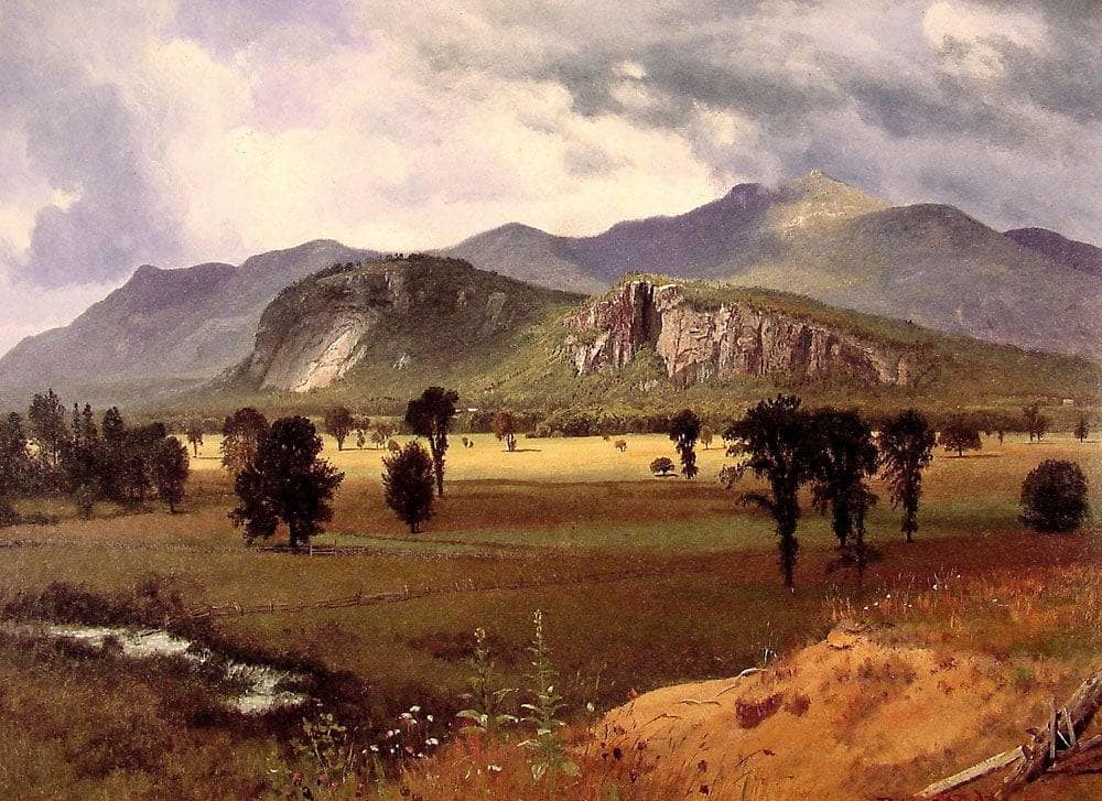 Moat Mountain Intervale, New Hampshire by Albert Bierstadt — hand-painted botanical oil painting reproduction on canvas