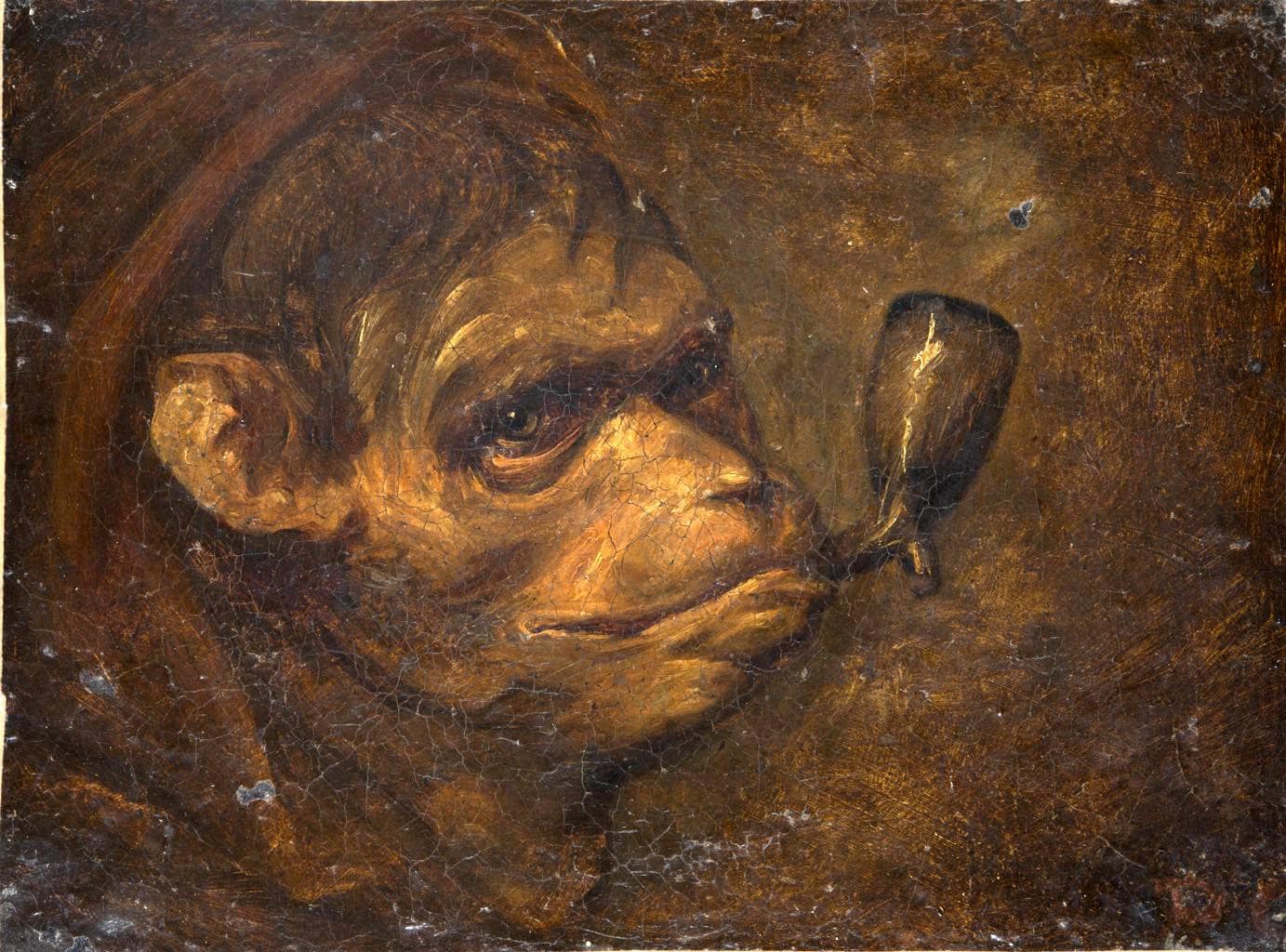 Monkey head smoking a pipe