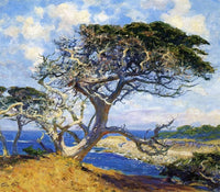 Monterey Cypress by Guy Rose — hand-painted botanical oil painting reproduction on canvas